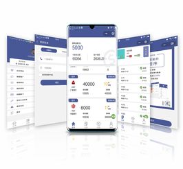 善巧科技智能還款小程序系統(tǒng)定制開發(fā)oem